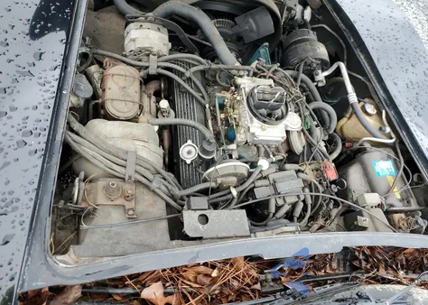 1981 Chevrolet Corvette из США, поврежденный, VIN 1G1AY8763BS401984